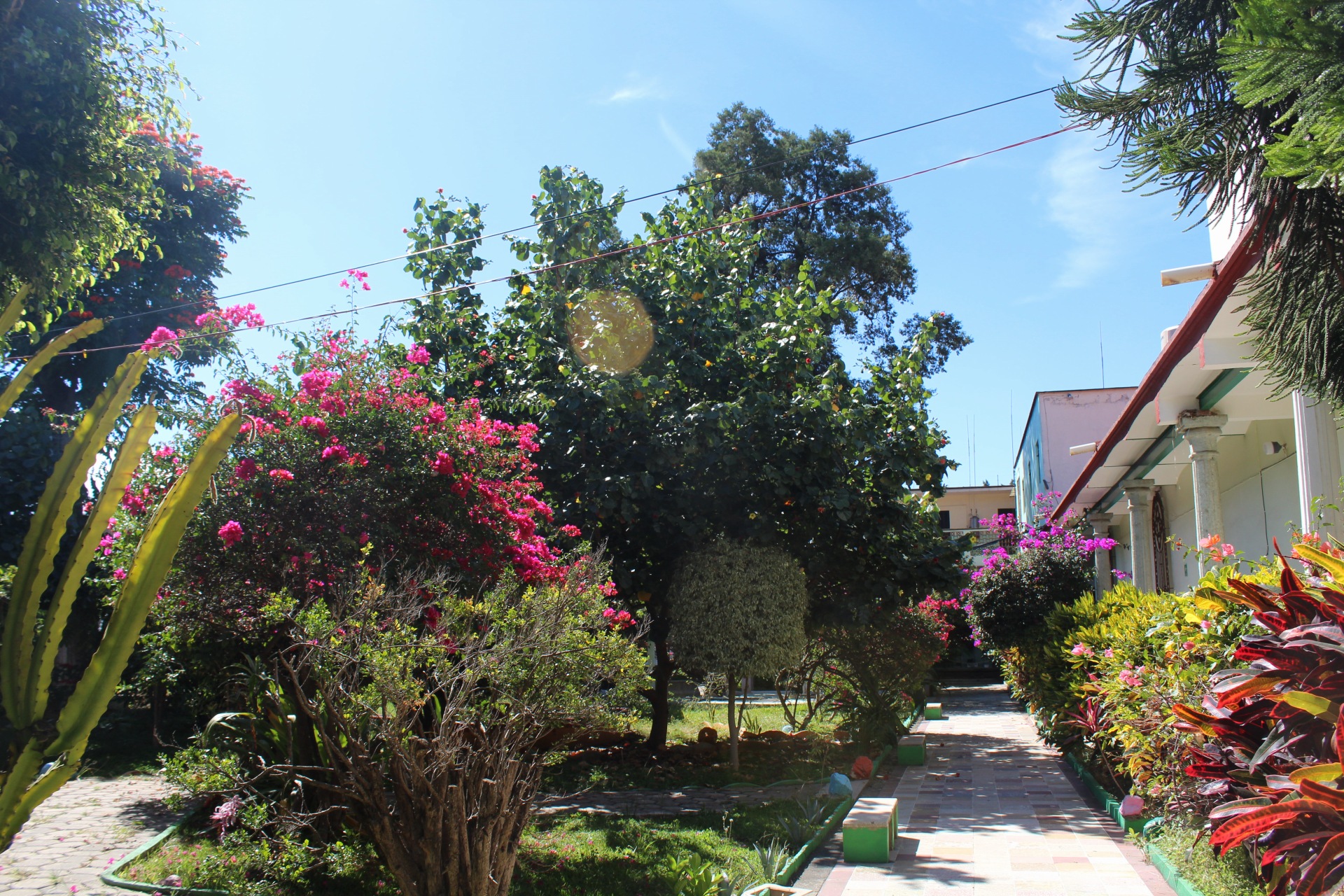 Jardín