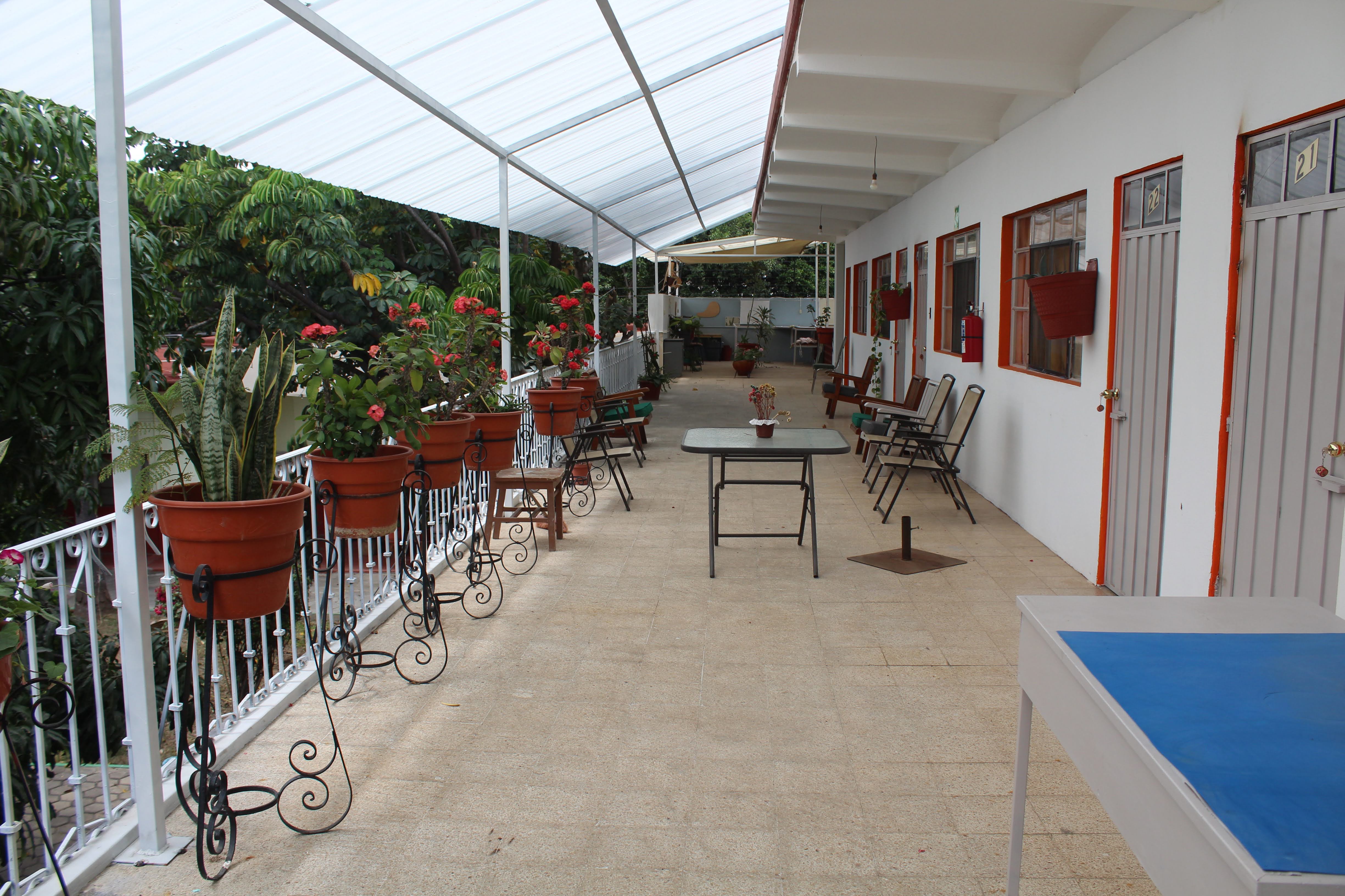 Terraza principal