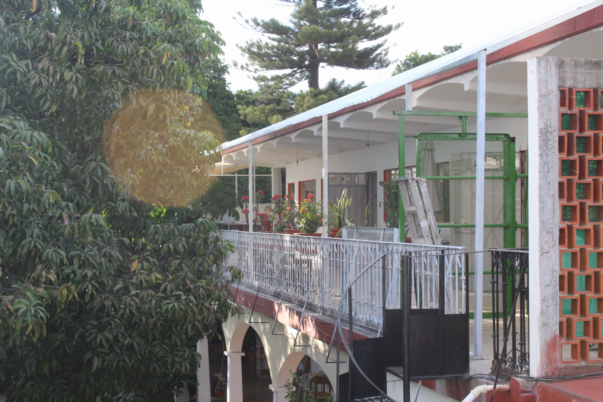 Terraza habitación
