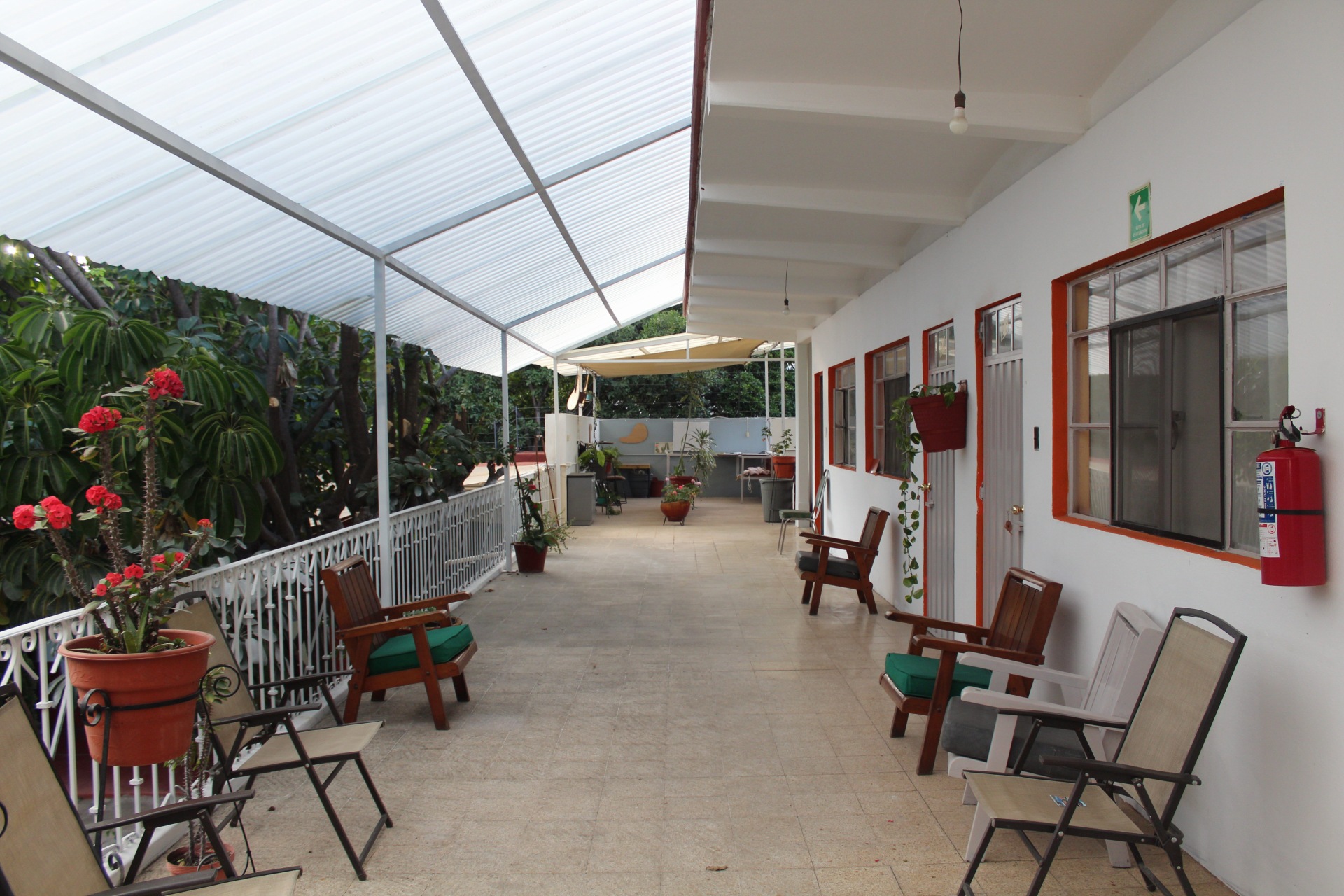 Terraza 5