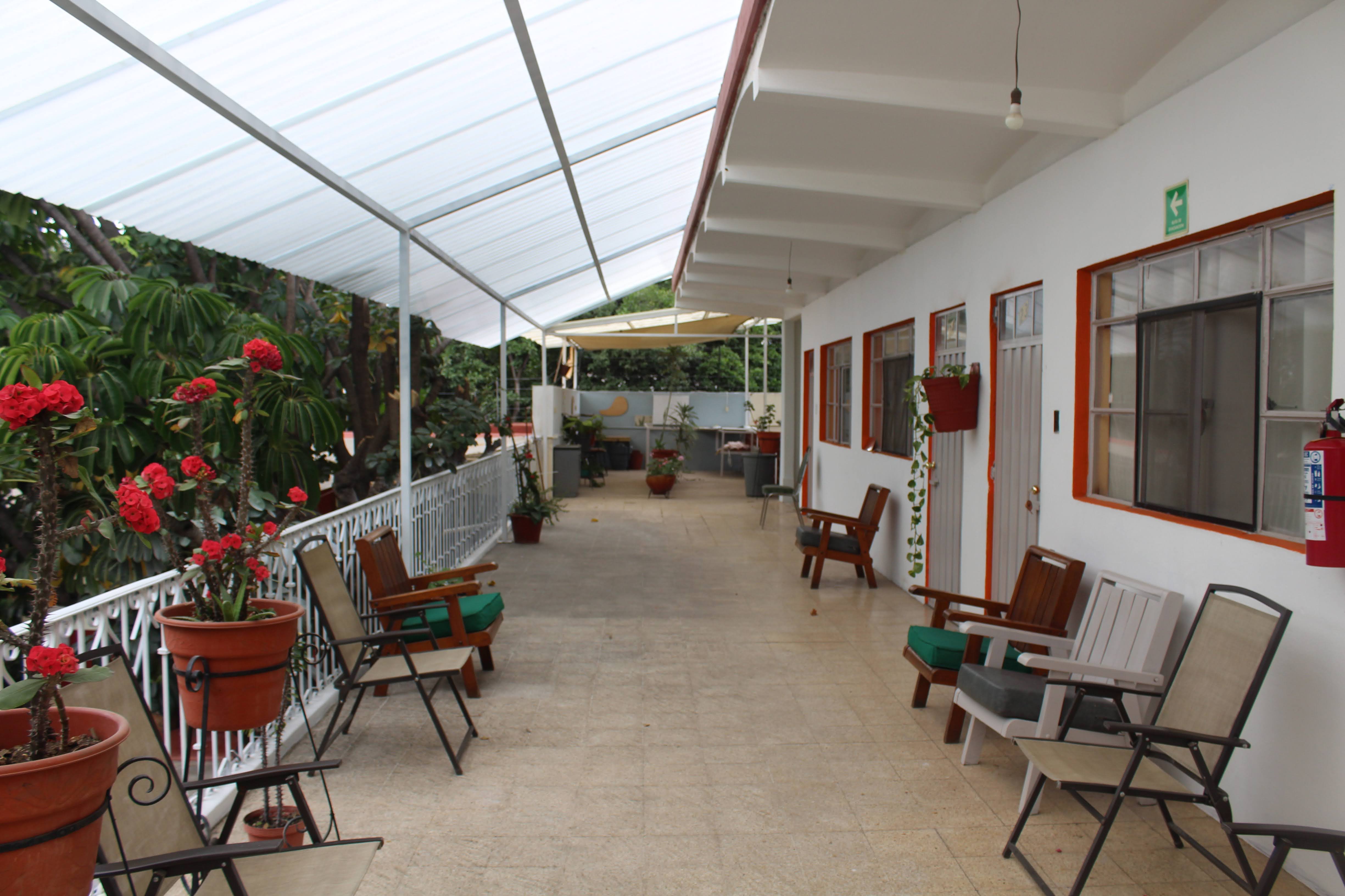 Jardín